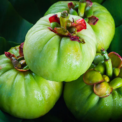 Garcinia Cambogia (HCA)